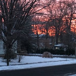 Meet your Posher, Dahli